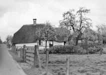 841055 Gezicht op de boerderij Provincialeweg 49 te Schalkwijk (gemeente Houten).